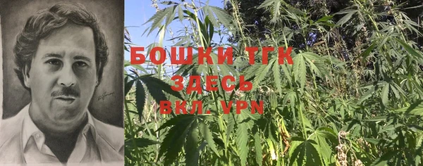 гашик Надым