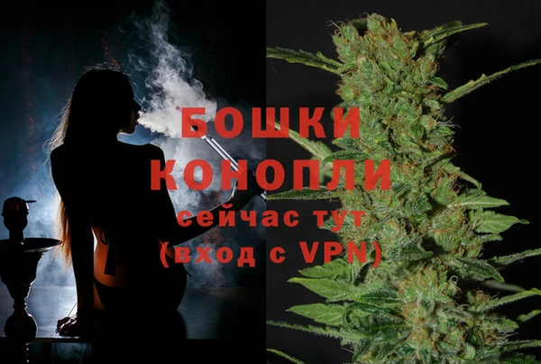 гашик Надым