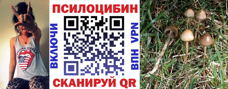 Галлюциногенные грибы прущие грибы цена Пересвет